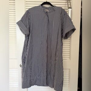Everlane Striped Blue and White shirt dress